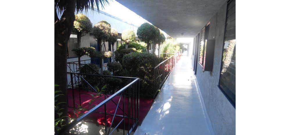 Backpackers Paradise Hostel Inglewood Exterior foto
